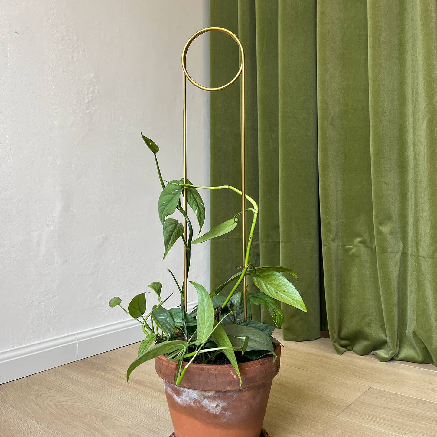 Gylden Plantepind – Elegant Plantemarkør og Støtte Botanopia