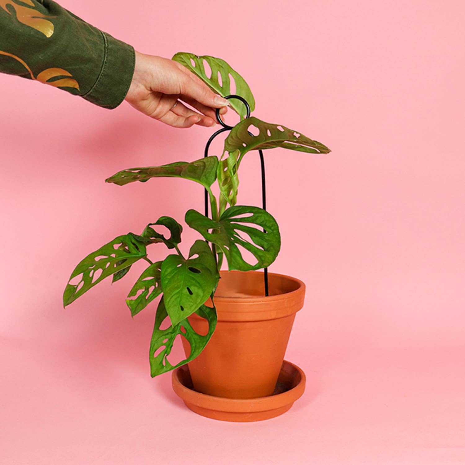 Botanopia Mini Plantepind Pompom – Sort, Genanvendt Aluminium Botanopia