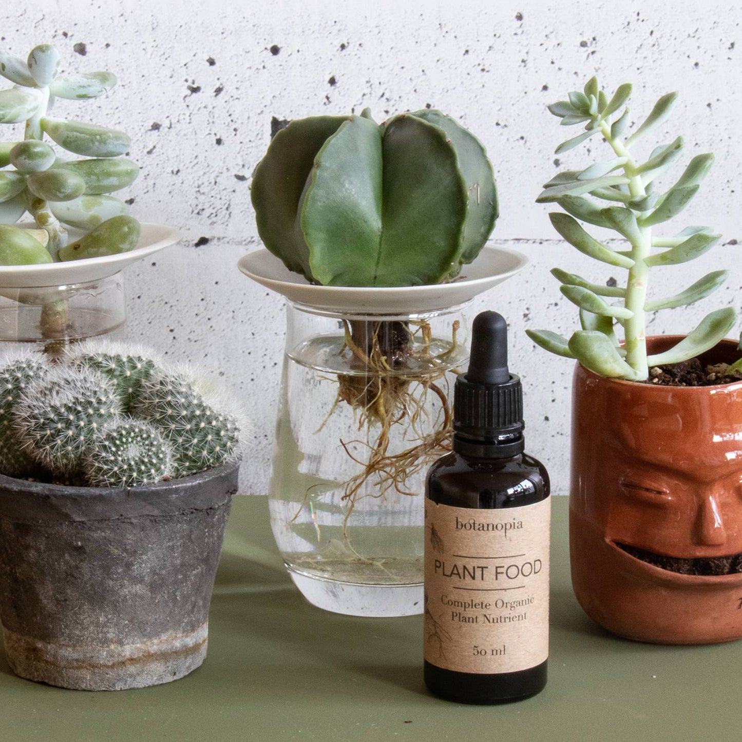 Komplet Økologisk Plantenæring - 50 ml
