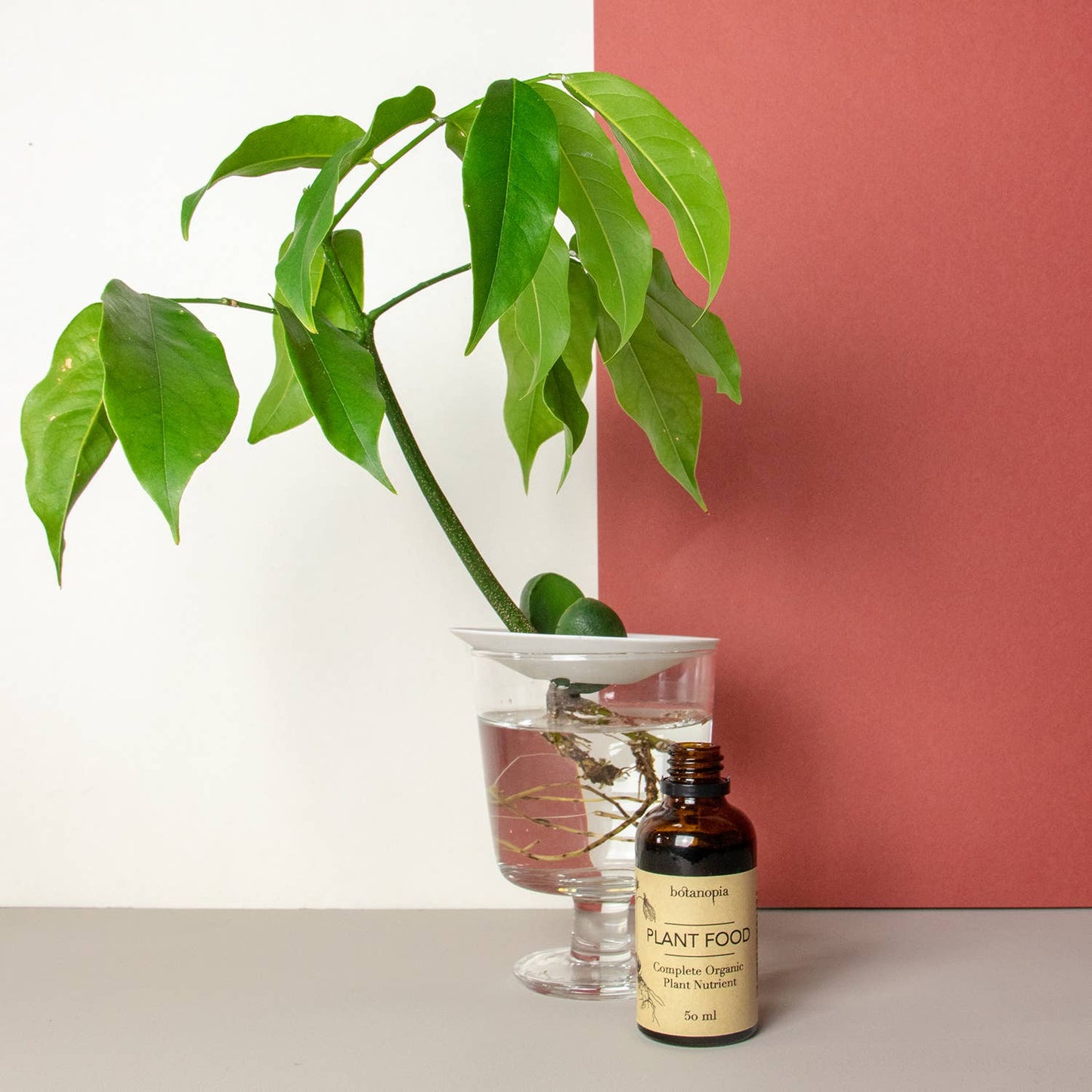 Komplet Økologisk Plantenæring - 50 ml