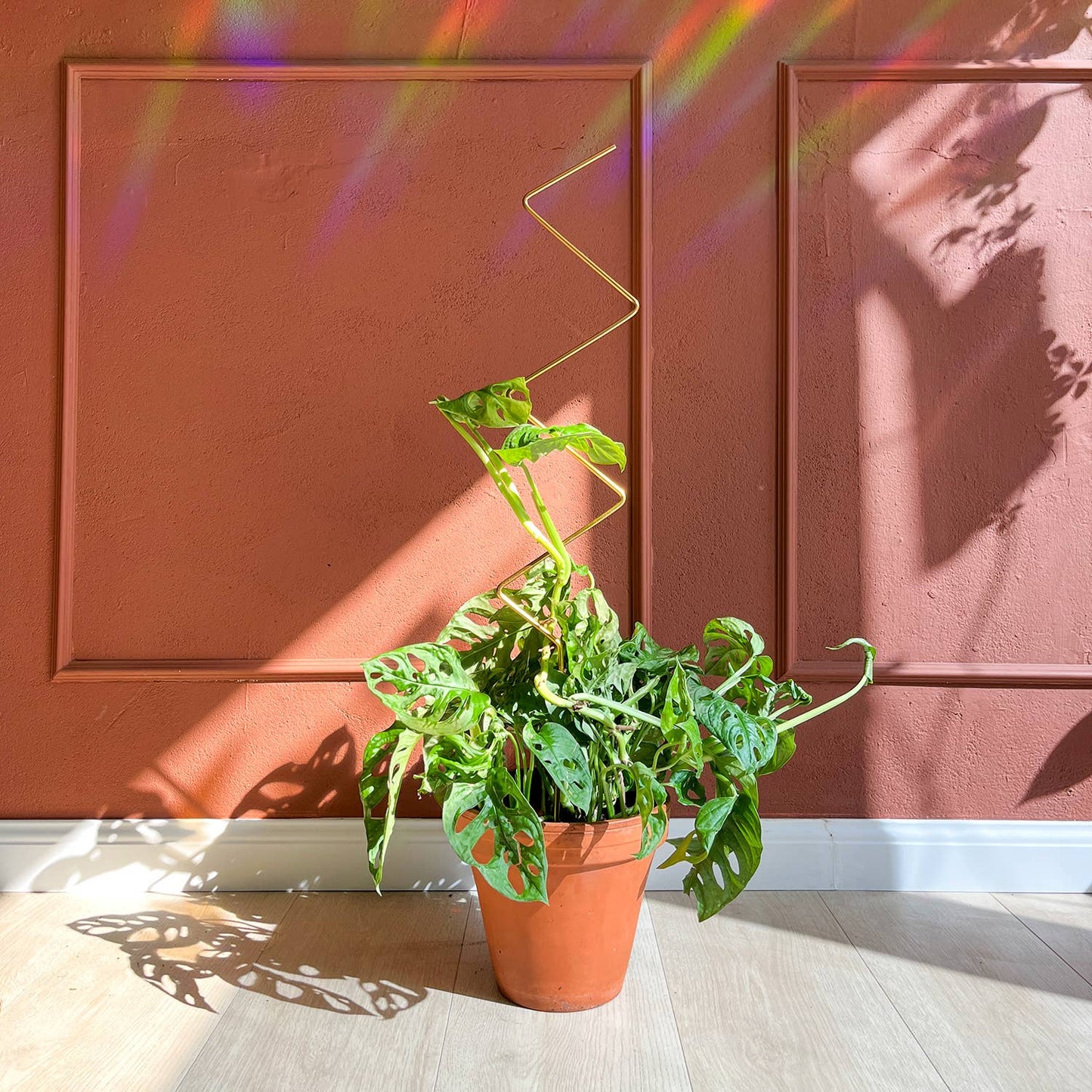 Botanopia Plantepind ZigZag – Guld, Genanvendt Aluminium Botanopia