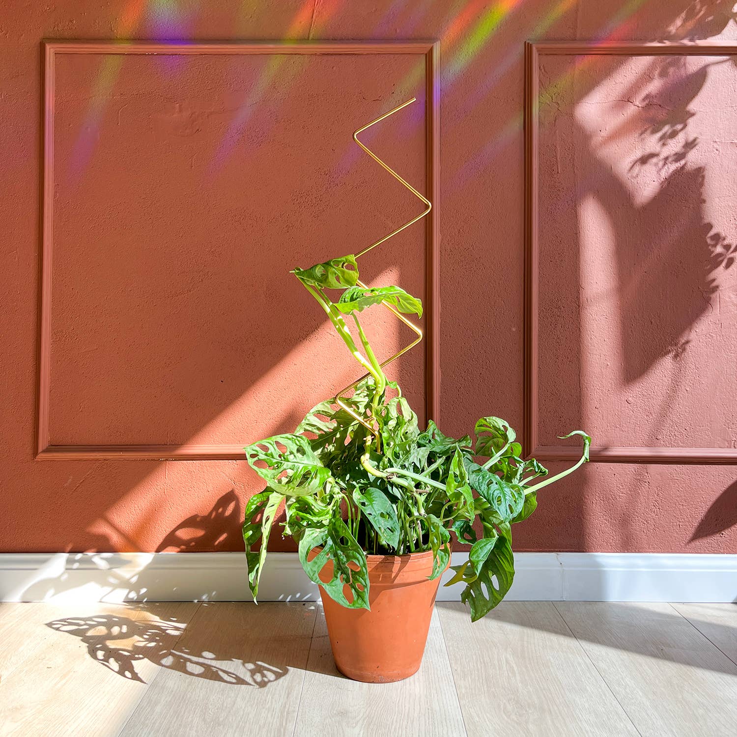 Botanopia Plantepind ZigZag – Guld, Genanvendt Aluminium Botanopia