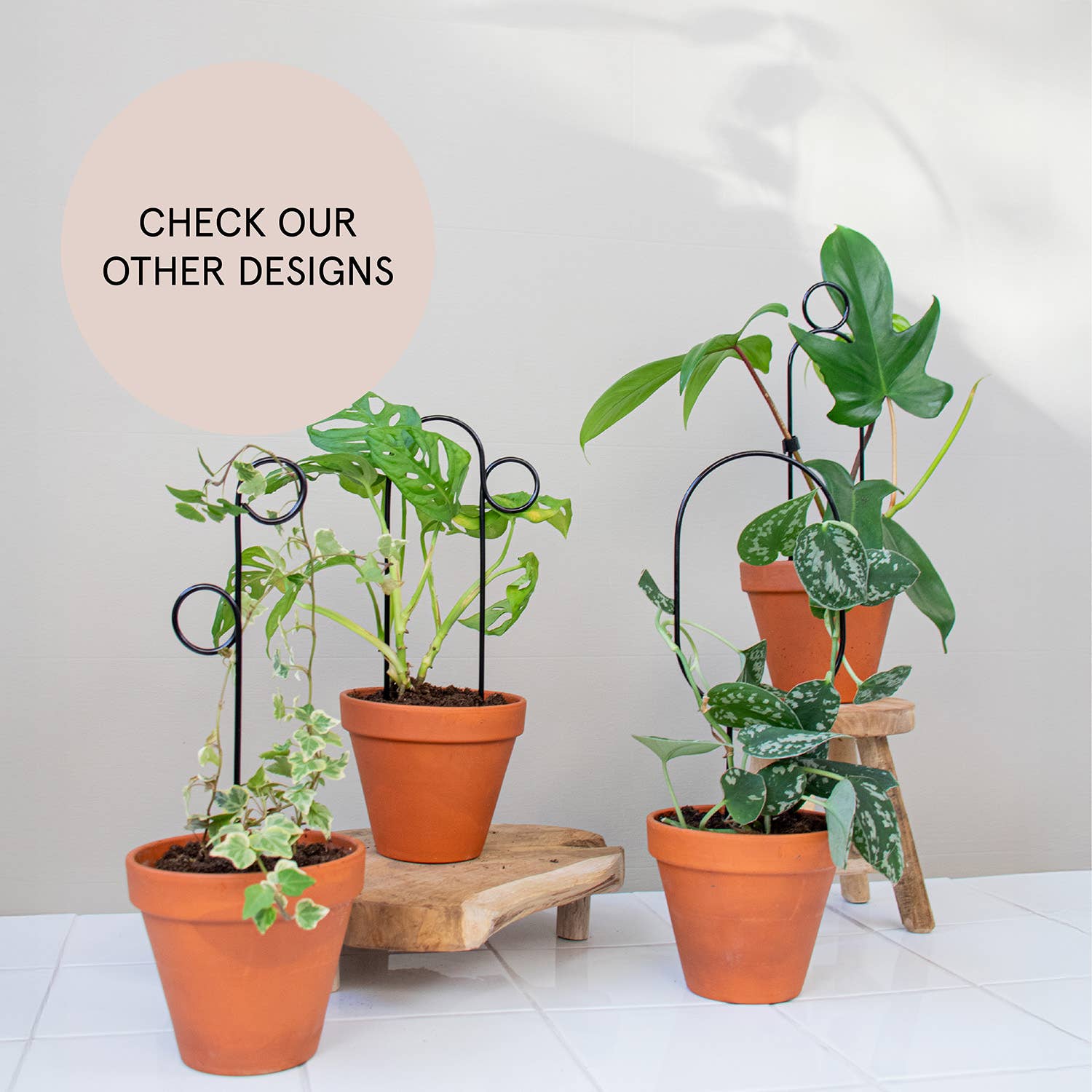 Botanopia Mini Plantepind Bøjle – Sort Botanopia
