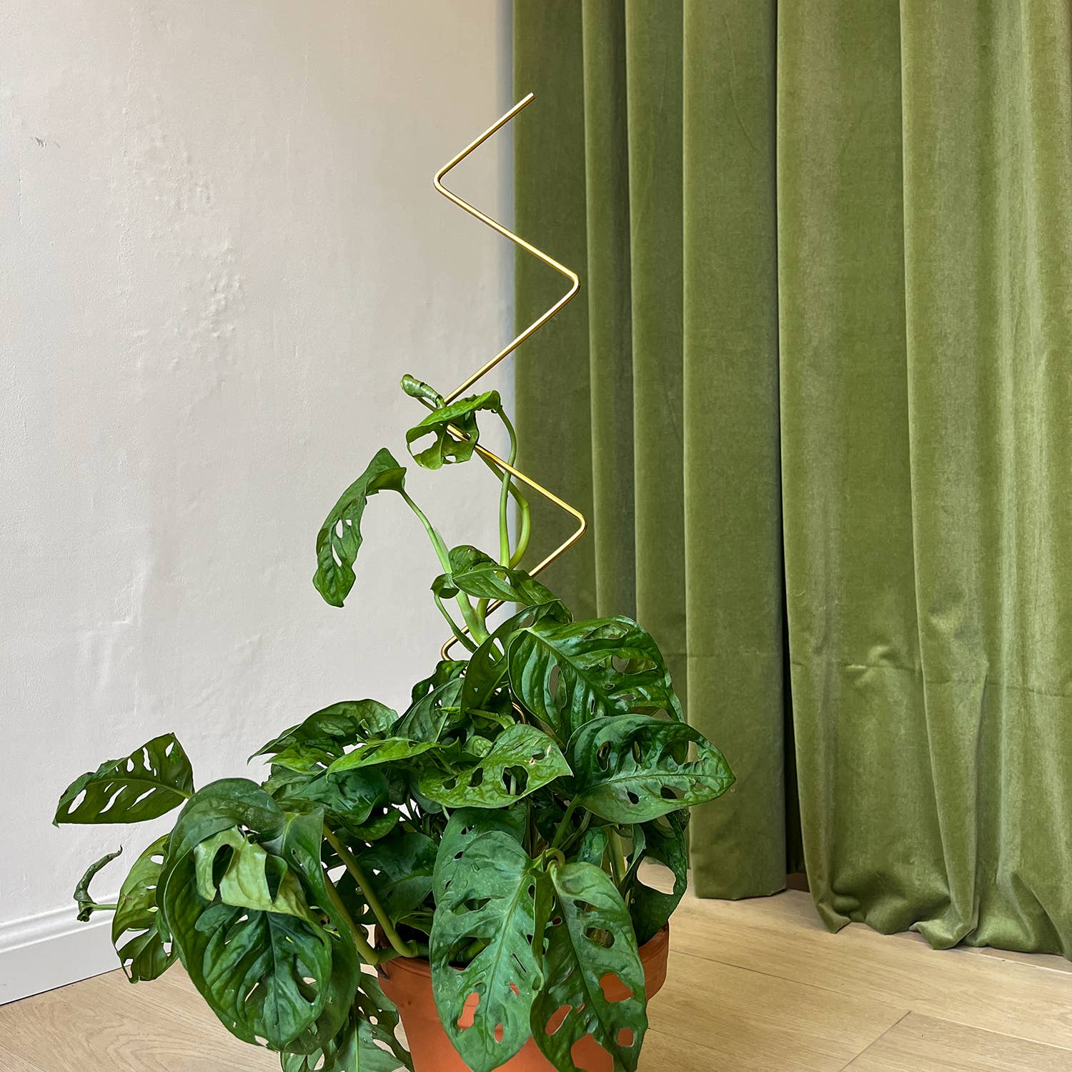 Botanopia Plantepind ZigZag – Guld, Genanvendt Aluminium Botanopia