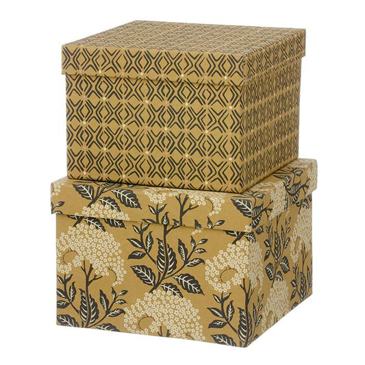 Cubic Duo box M Elderflower Camel	