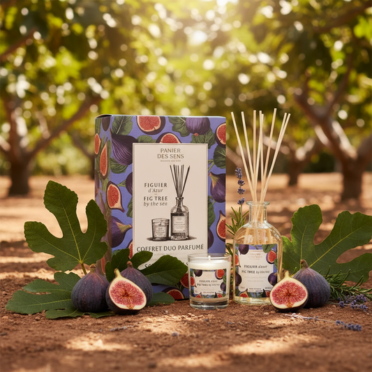 Duftpinde & Duftlys Fig Tree - Panier des Sens Panier des Sens