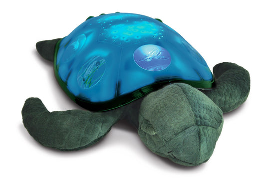 Twilight Sea turtle