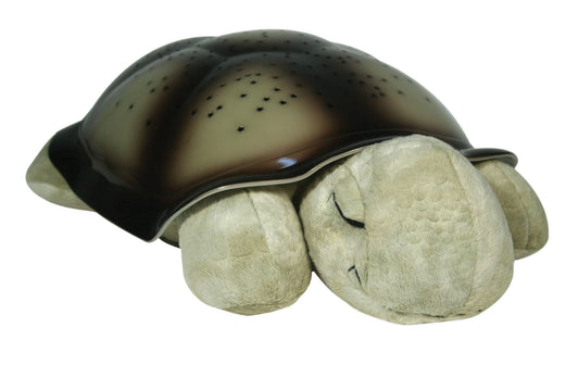 Twilight turtle