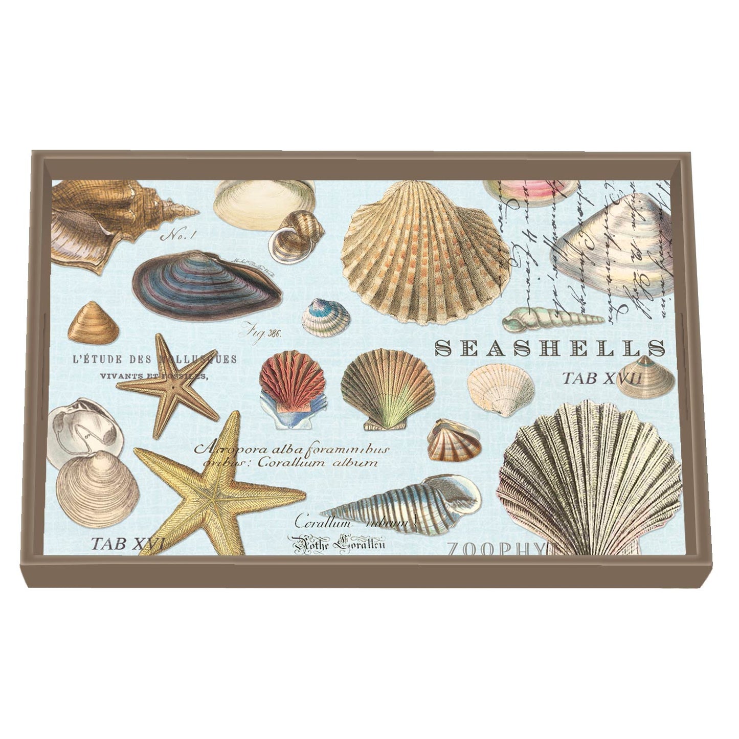 træbakke seashells